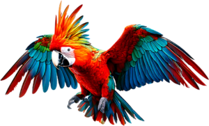 bird_04